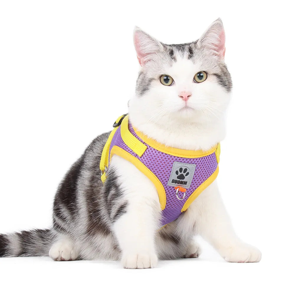 CAT HARNESS WITH LEASH