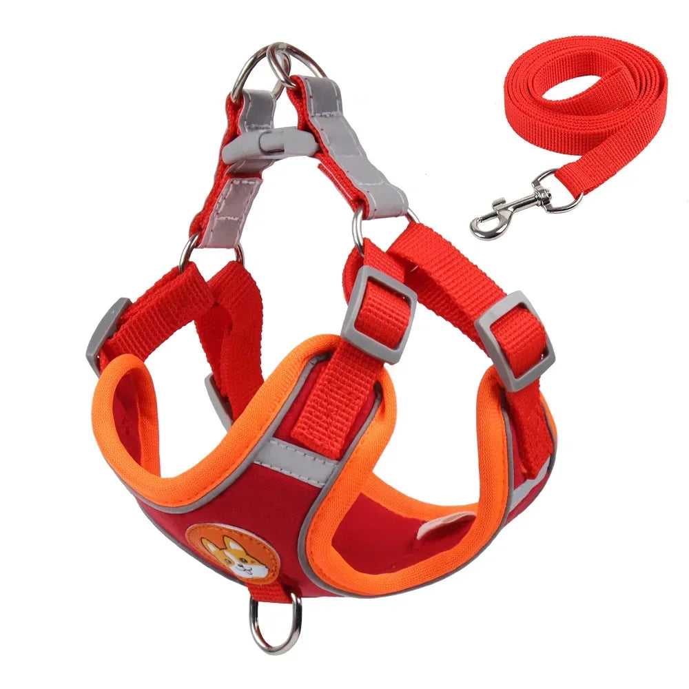 DOG HARNESS WITH LEASH