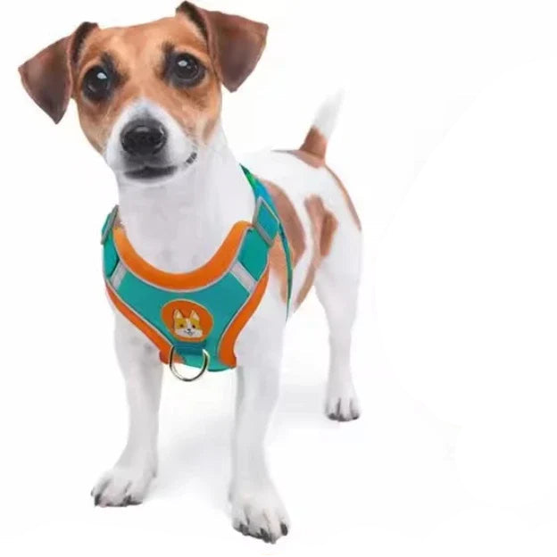 DOG HARNESS WITH LEASH
