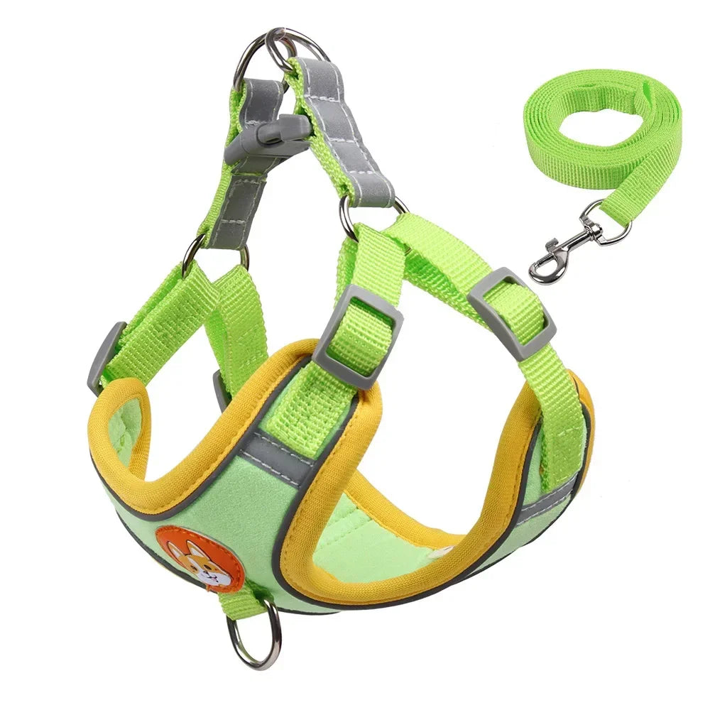 DOG HARNESS WITH LEASH