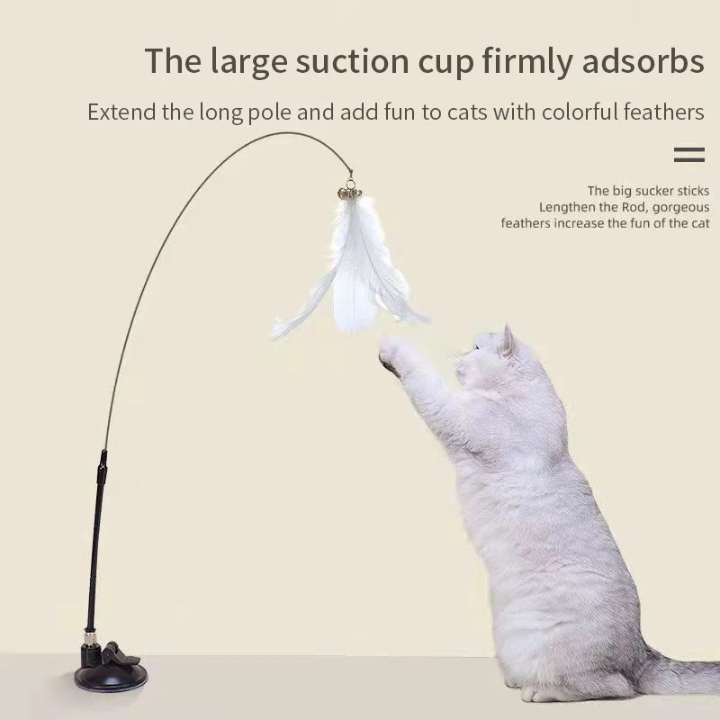 SUCTION CAT WAND