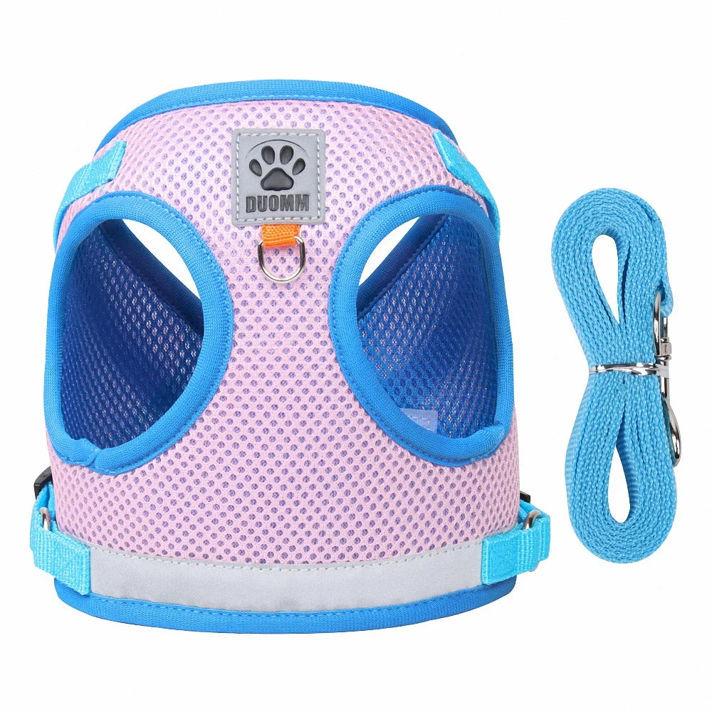CAT HARNESS WITH LEASH