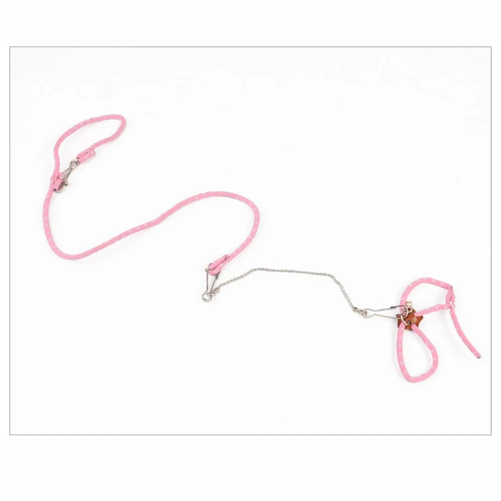 SMALL PET LEASH