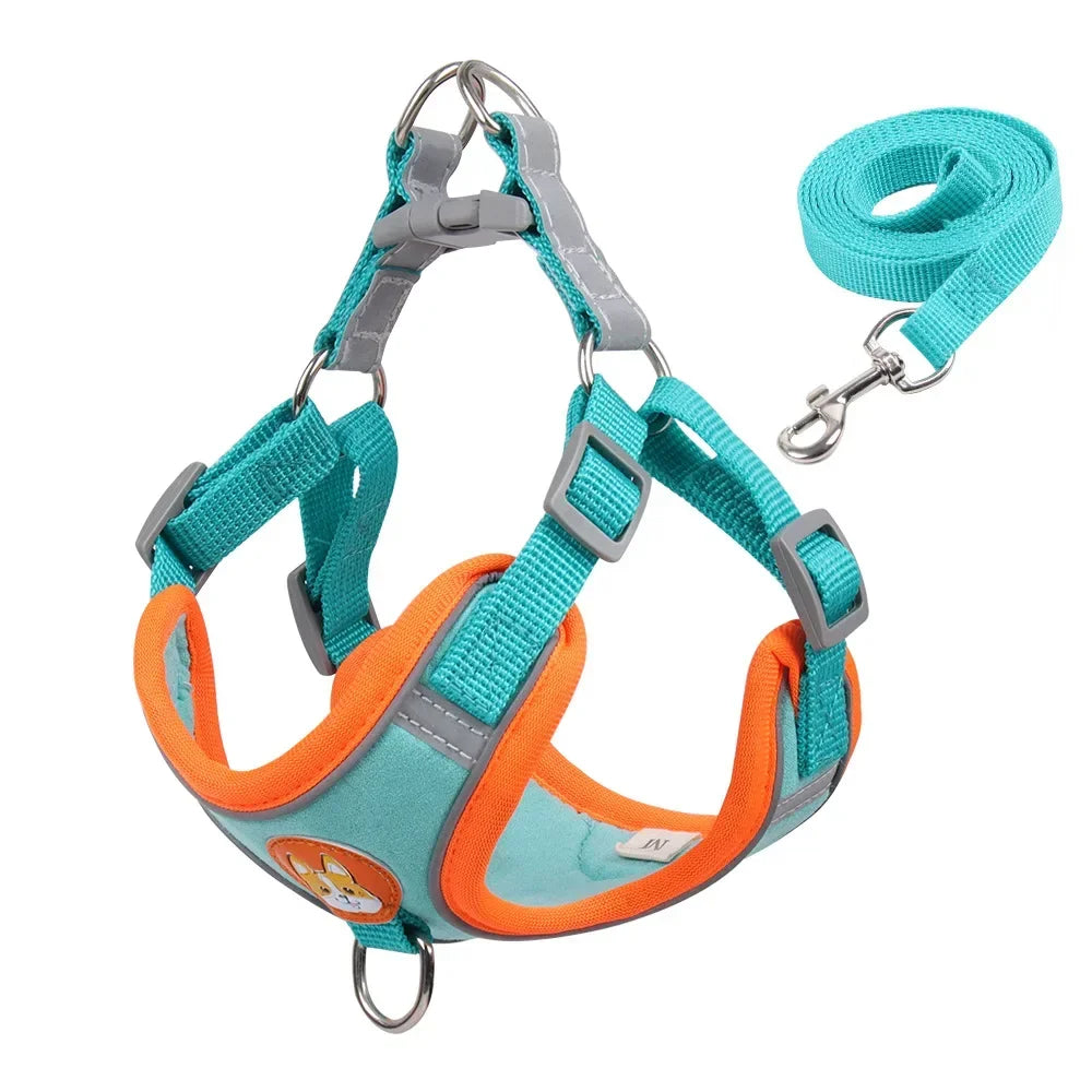 DOG HARNESS WITH LEASH