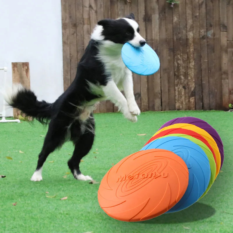 FLYING DISC