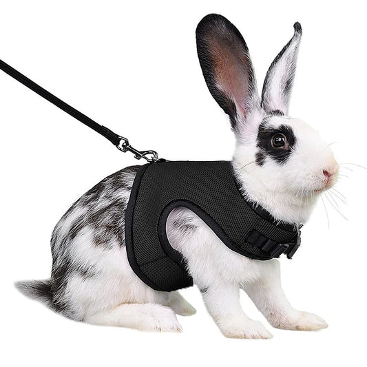 PET VEST & LEASH
