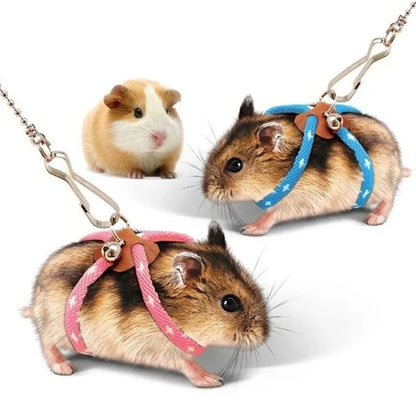 SMALL PET LEASH