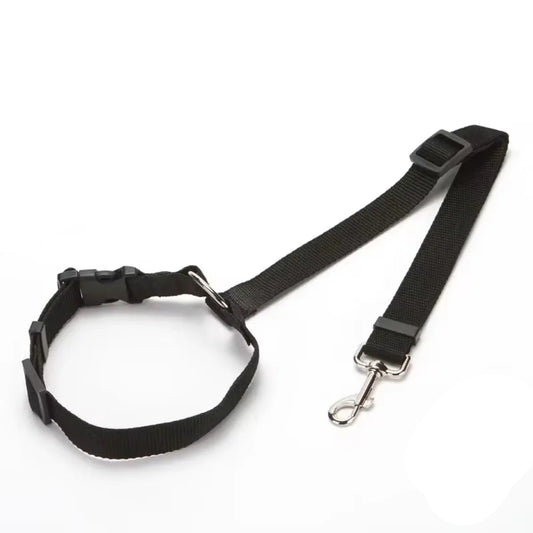 PET SEATBELT