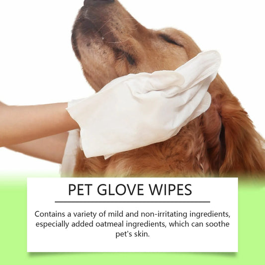GLOVE WIPES