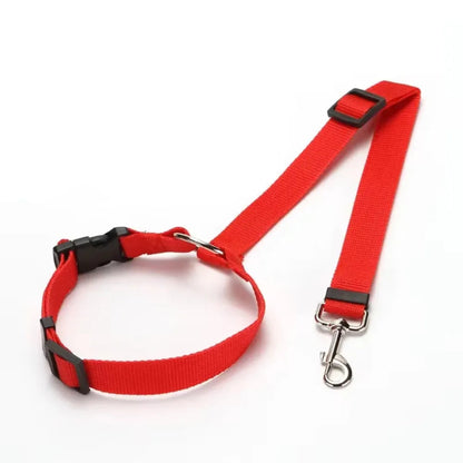 PET SEATBELT
