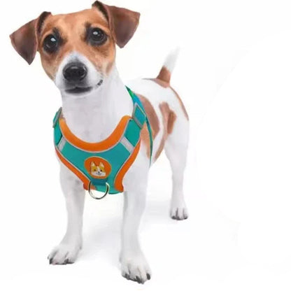 DOG HARNESS WITH LEASH