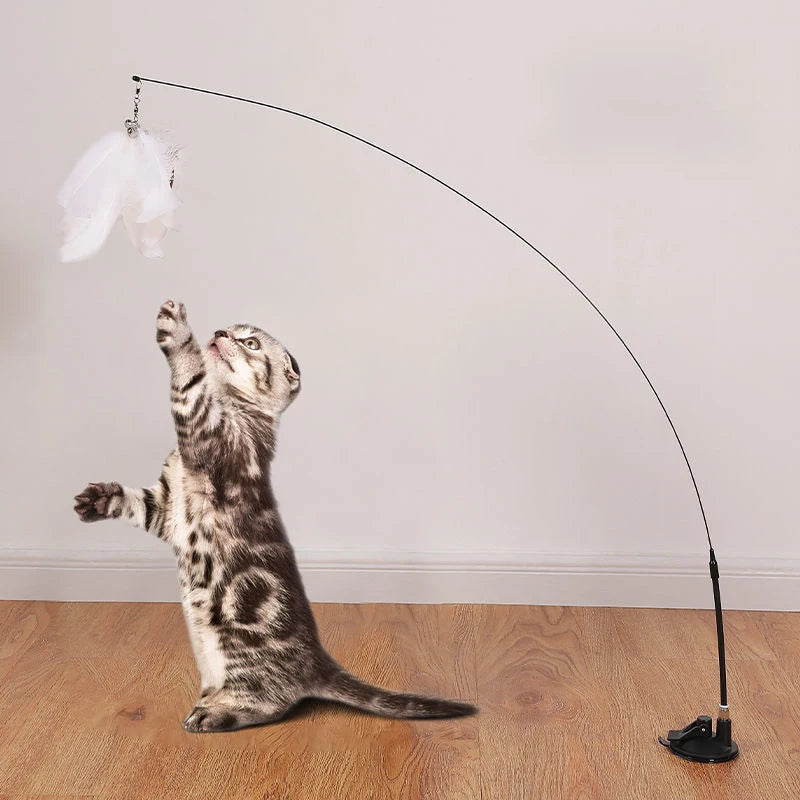 SUCTION CAT WAND