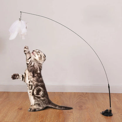 SUCTION CAT WAND