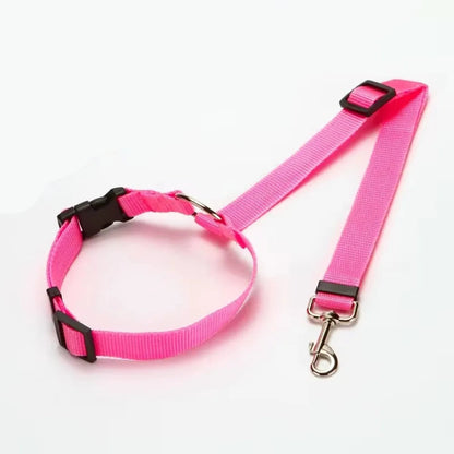 PET SEATBELT