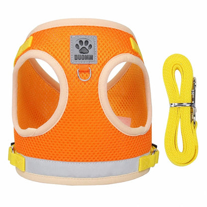 CAT HARNESS WITH LEASH