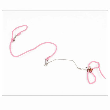 SMALL PET LEASH