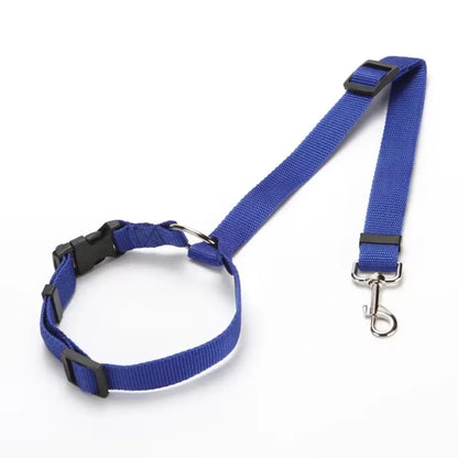 PET SEATBELT