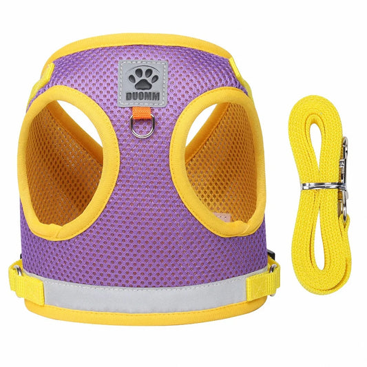 CAT HARNESS WITH LEASH