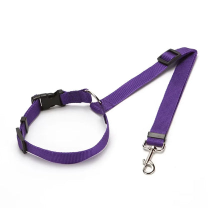 PET SEATBELT