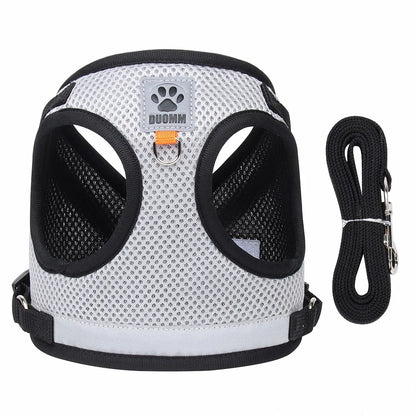 CAT HARNESS WITH LEASH