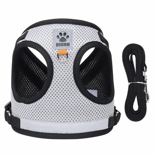 CAT HARNESS WITH LEASH