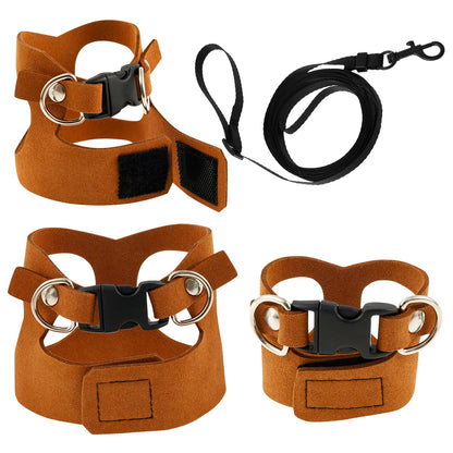 LIZARD HARNESS SET